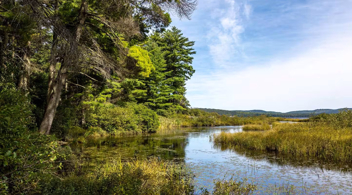 Au Canada la nature reprend ses droits