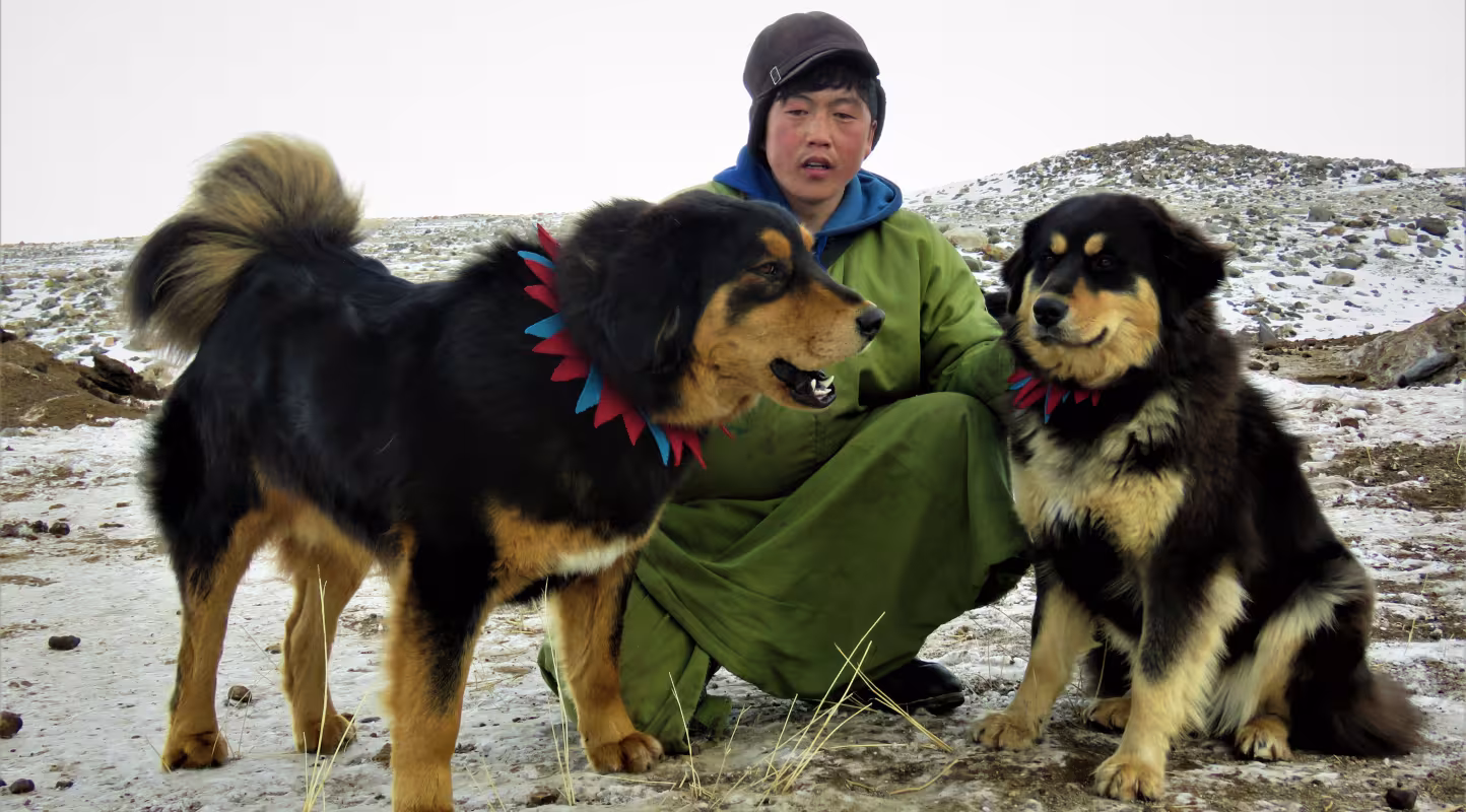 Les anges-gardiens des steppes de Mongolie