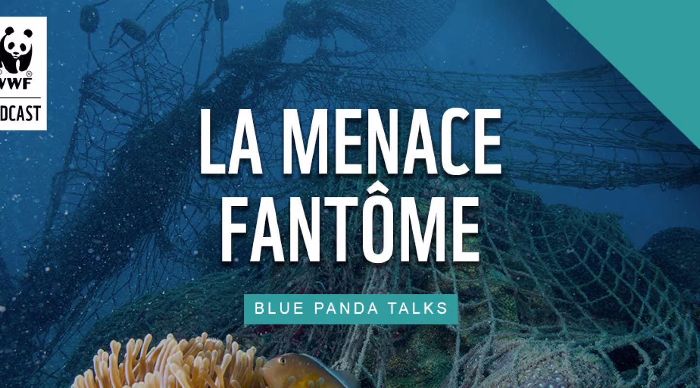 Épisode 2 , La menace fantôme