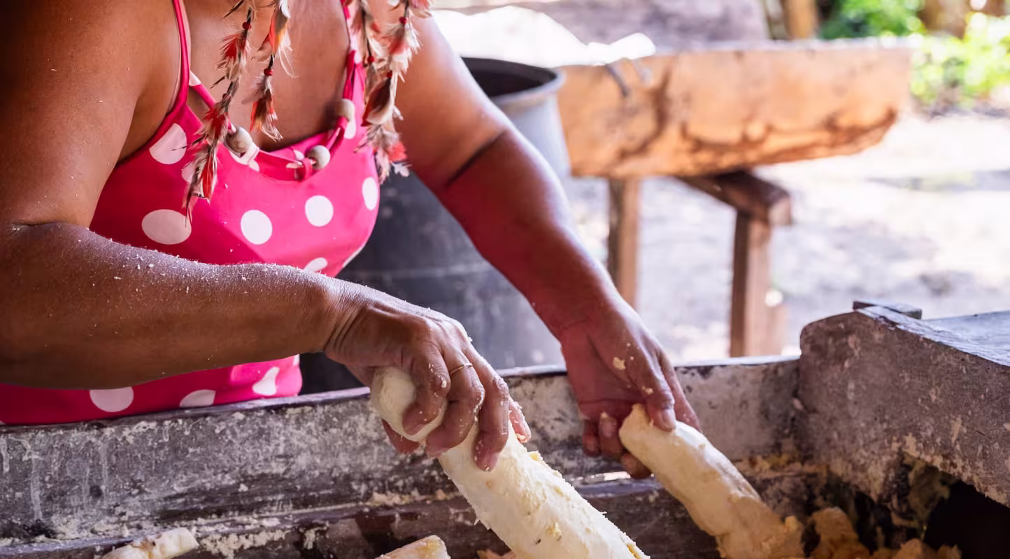 L’écotourisme : un nouveau souffle pour l’Amazonie