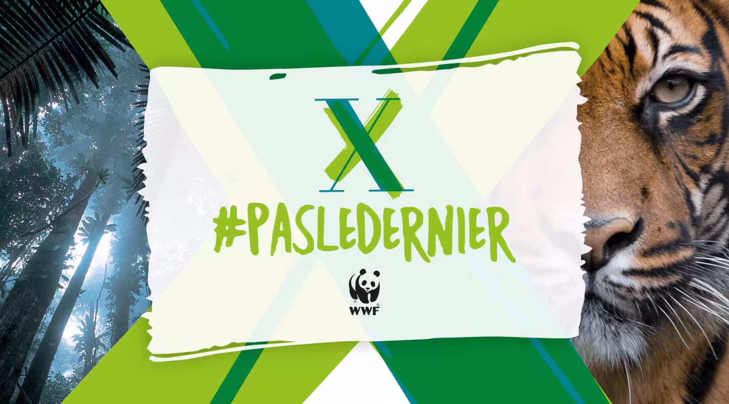 Pas les derniers à agir !