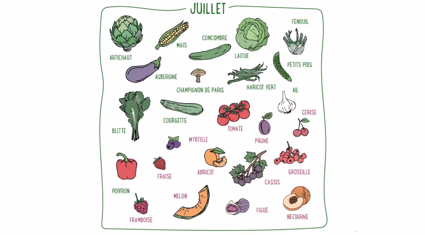 Nos recettes de Juillet