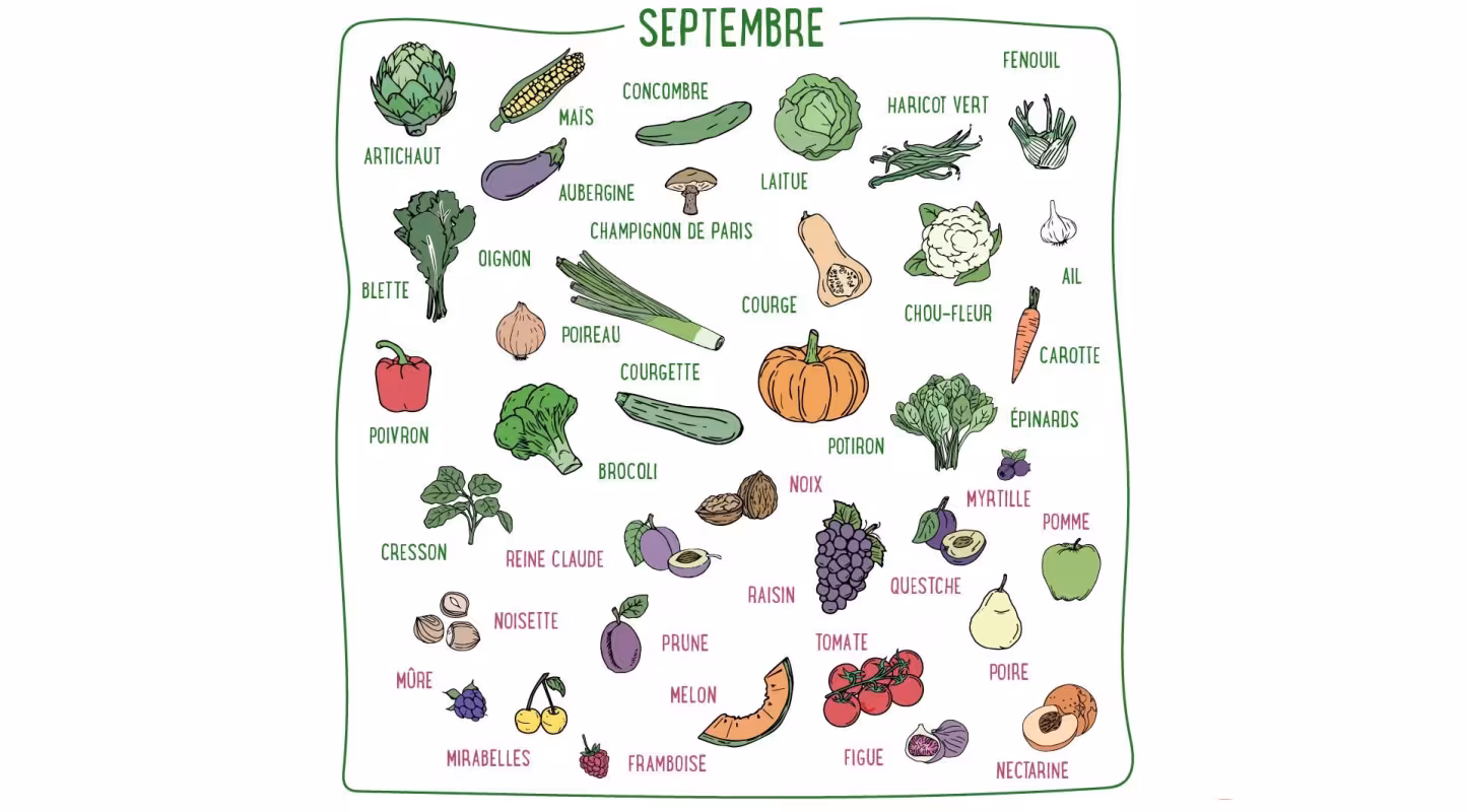 Nos recettes de Septembre