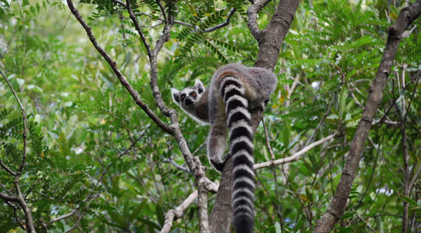 Madagascar en route vers l’écotourisme