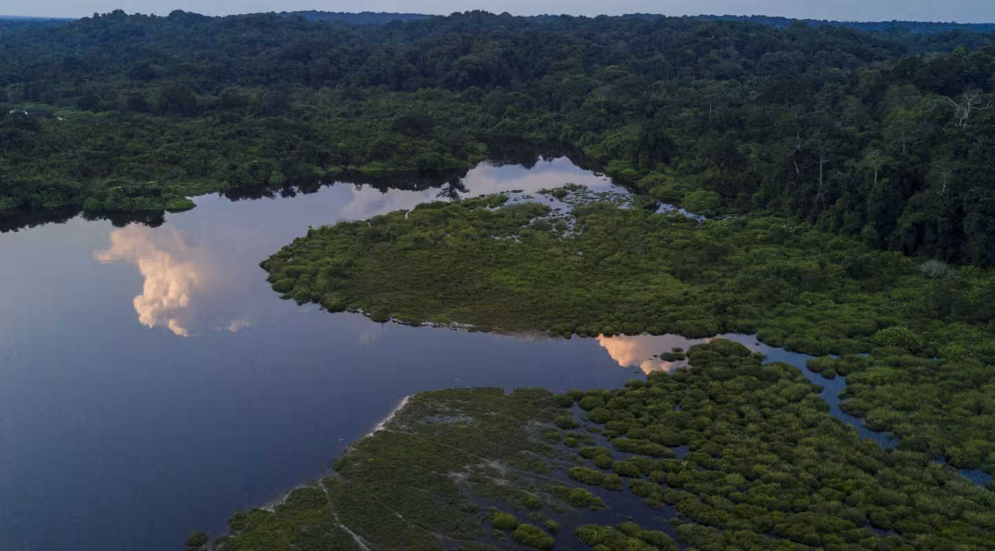 Le parc de la Salonga s’offre un répit