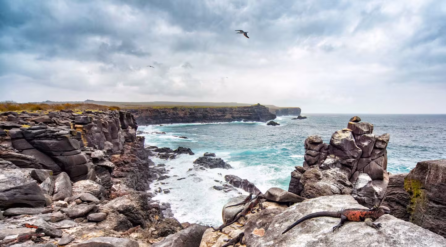Les îles Galápagos à l’abri