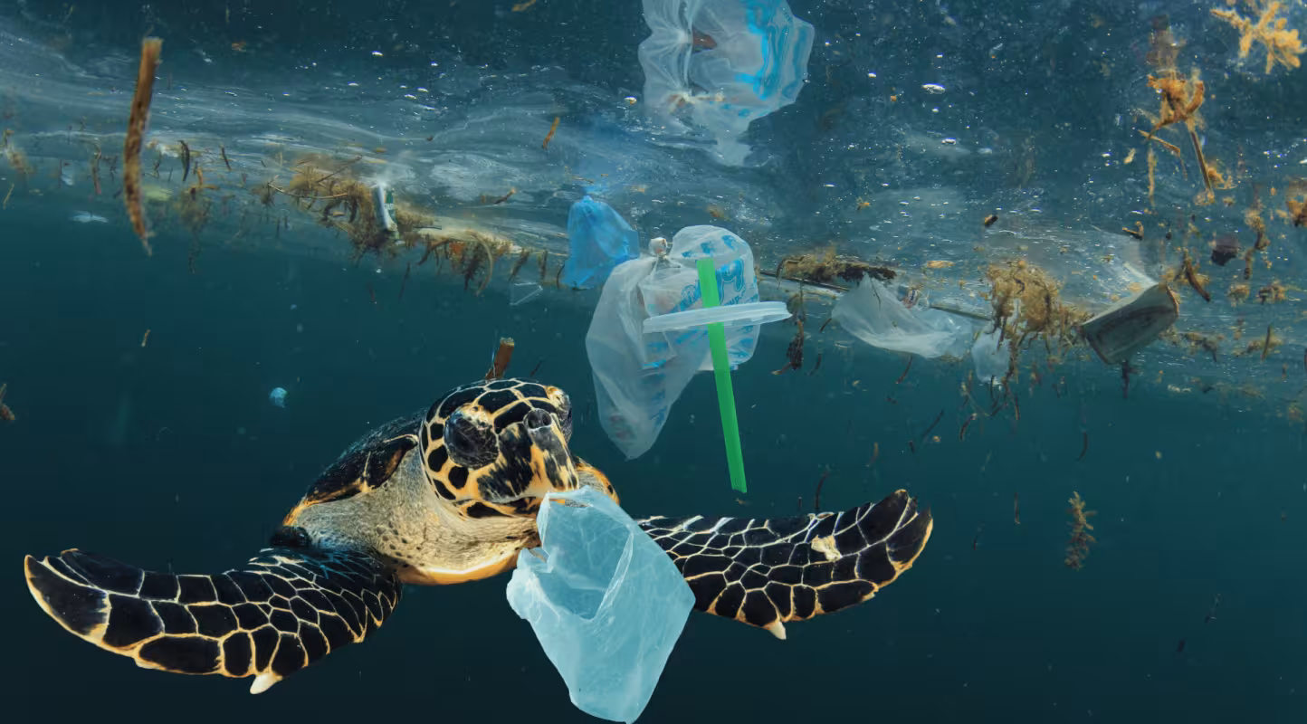 Un traité historique contre le fléau du plastique