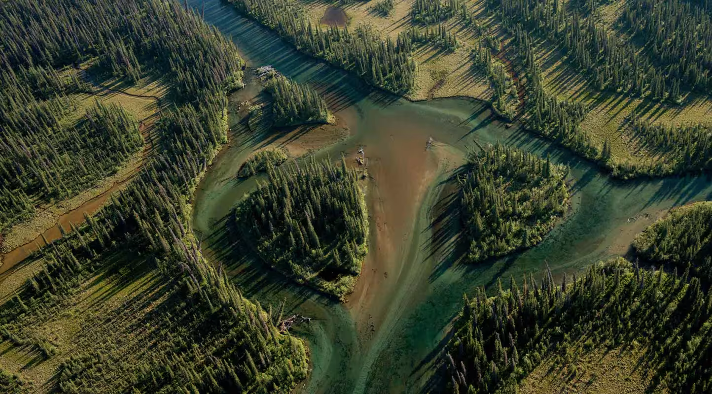 Pour des rivières pleines de vie