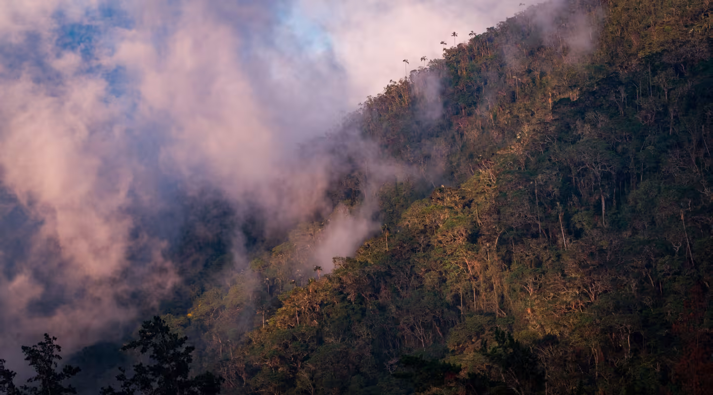La Colombie livre ses secrets
