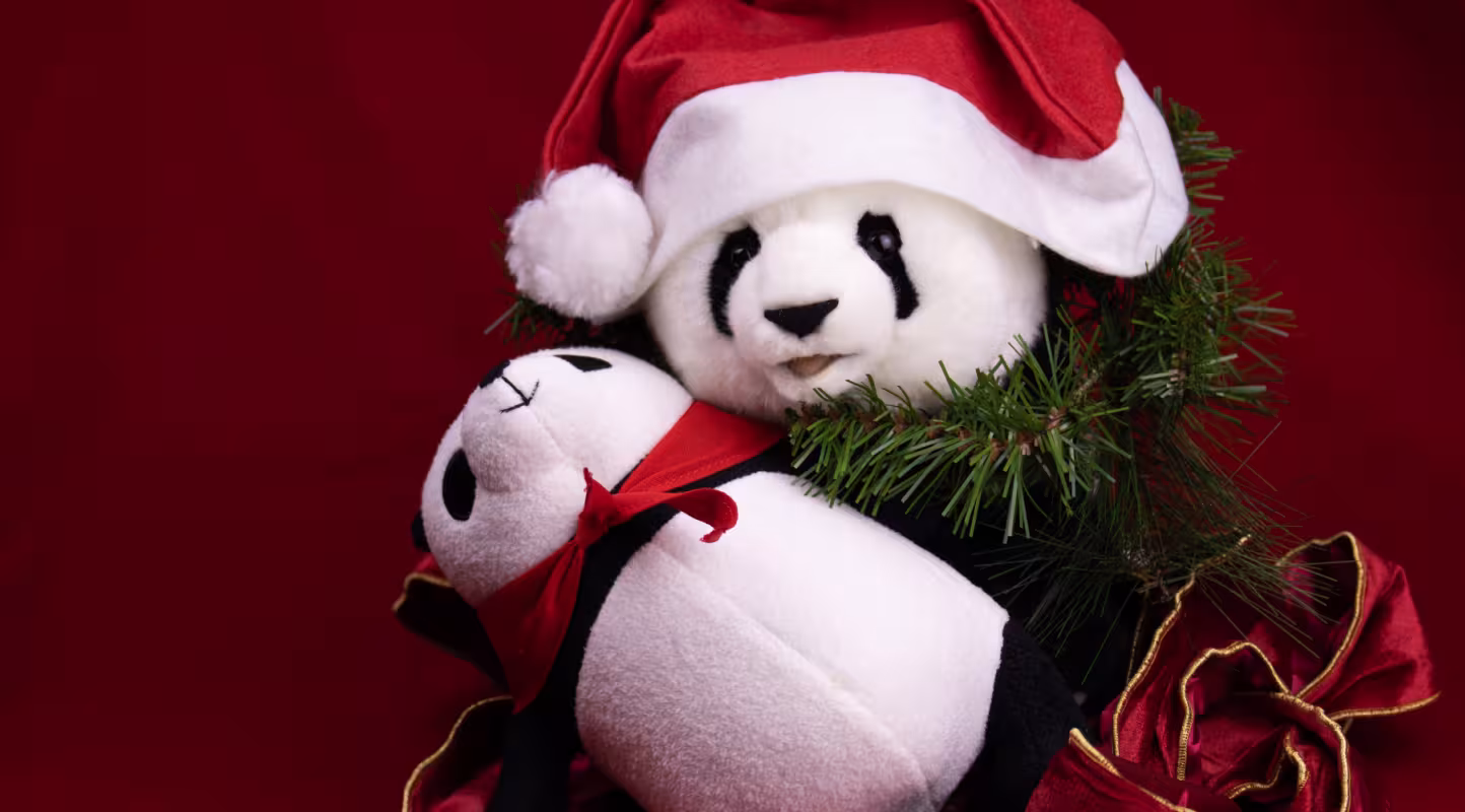 Pour un Noël plus vert 