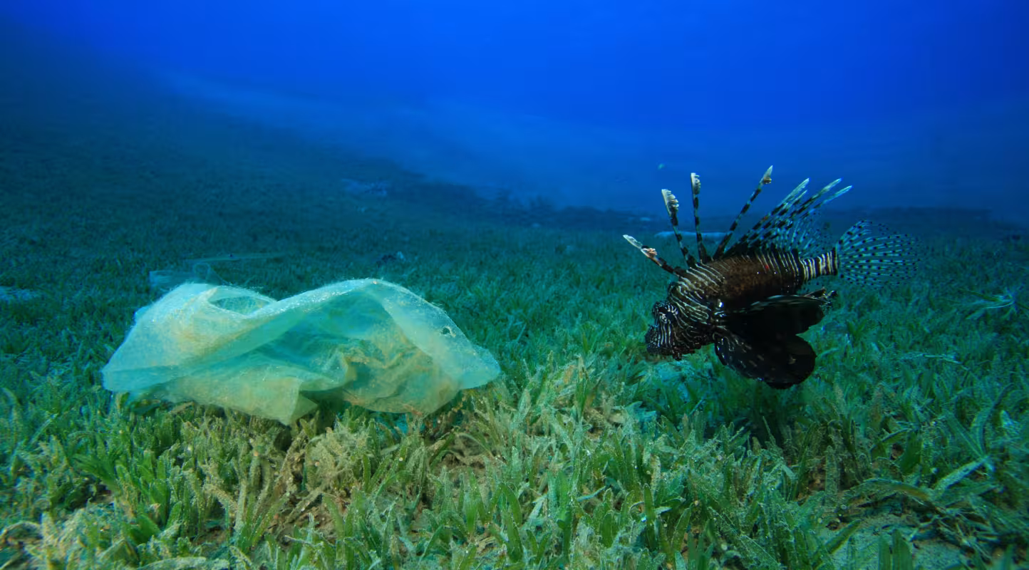Philippines : des solutions innovantes contre le fléau du plastique