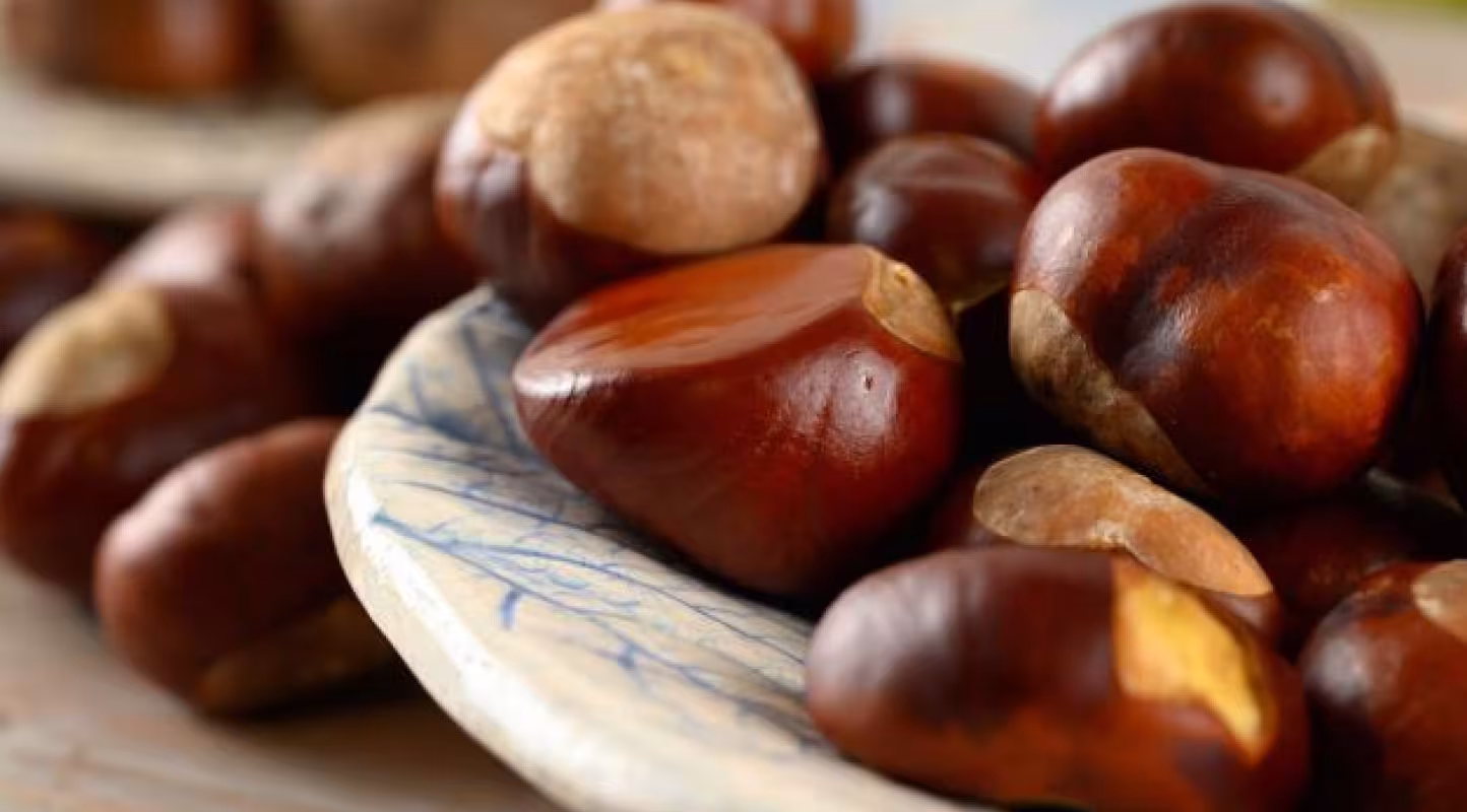 Recette de tajine aux châtaignes