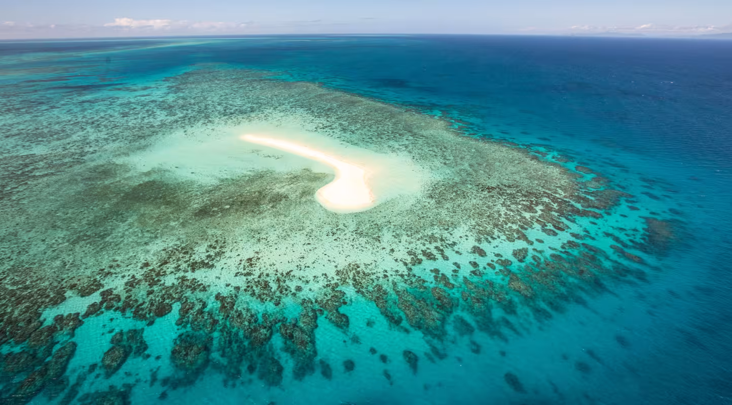 Trêve salutaire pour la grande barrière de corail