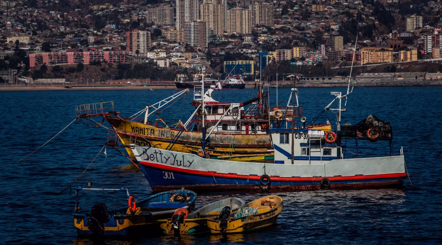 Bateaux de pêche artisanale au Chili