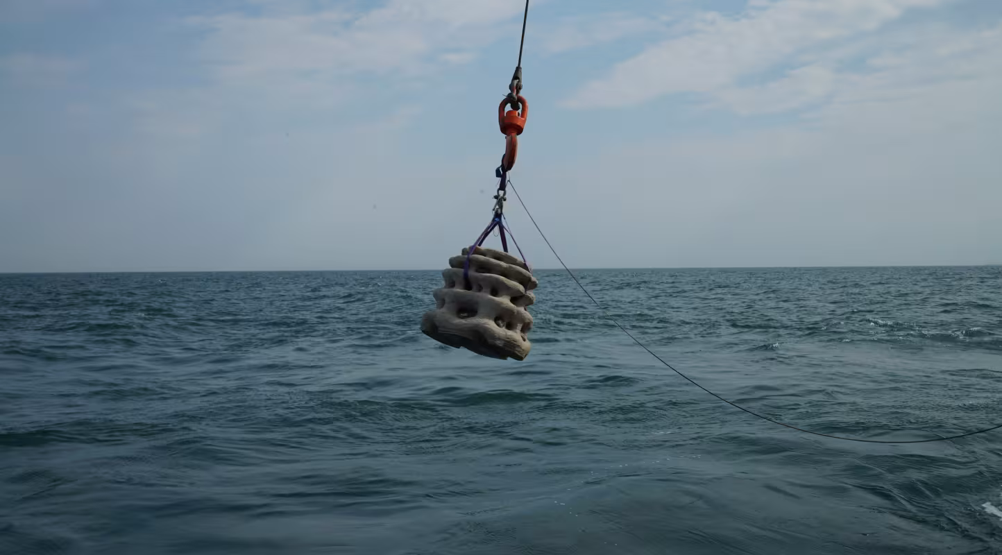 Un récif corallien en 3D prêt à être placé au fond de l’eau à Borkumse Stenen (Pays Bas)