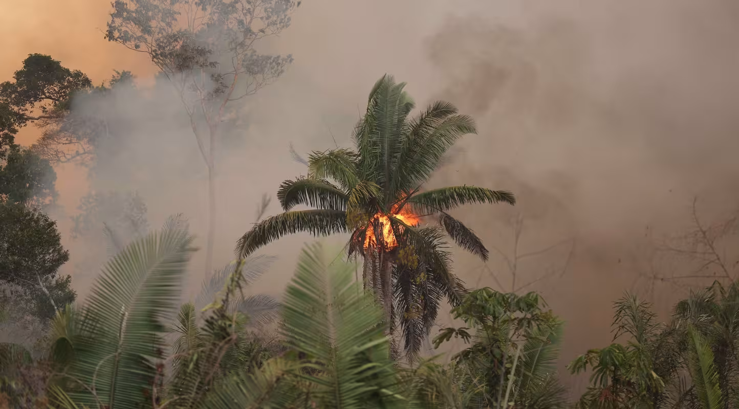 Près de Porto Velho (Brésil), les feux issus de la déforestation ravagent la forêt amazonienne.