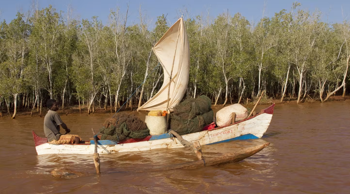 Bateau de pêcheur le long de la mangrove malgache