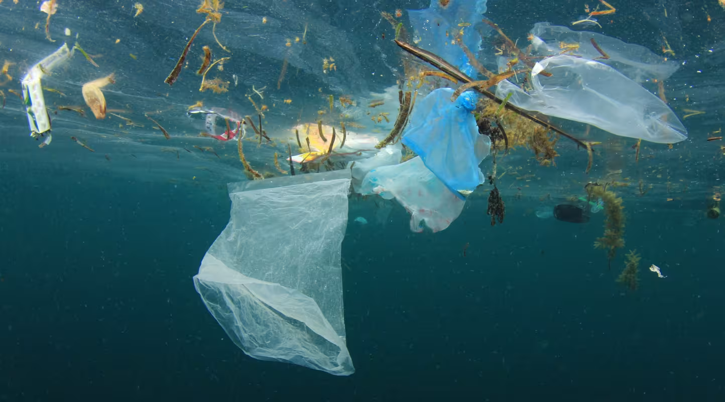 Plusieurs éléments d’origine plastique flottent dans l'océan