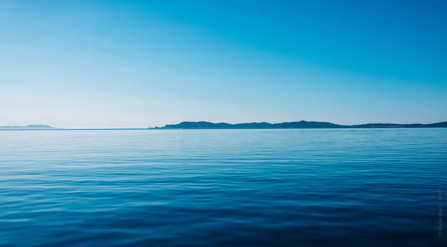 Mer Méditerranée - horizon bleue - cap cétacés 2019