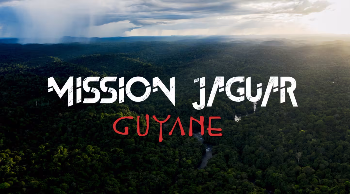 Découvrez la web-série Mission Jaguar Guyane