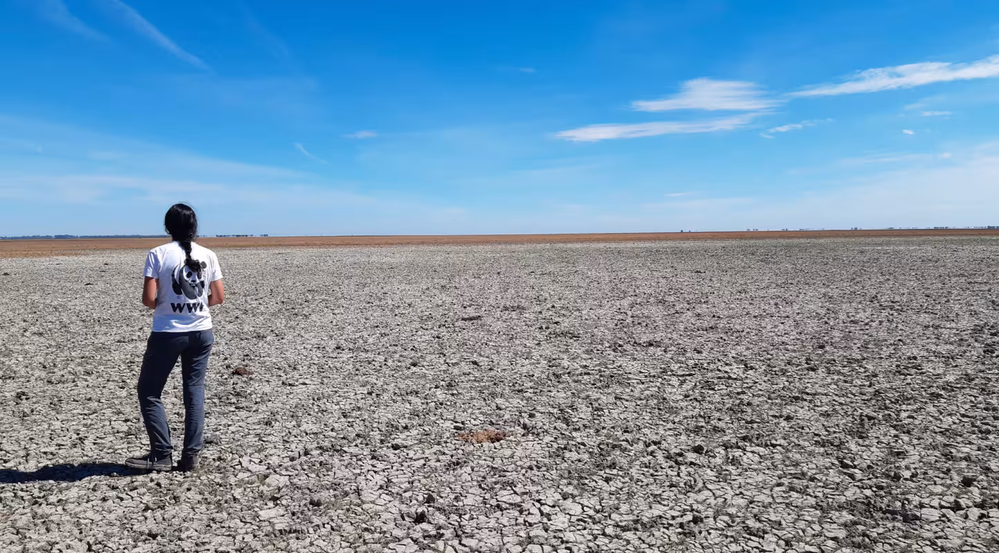 sécheresse en europe - le wwf alerte