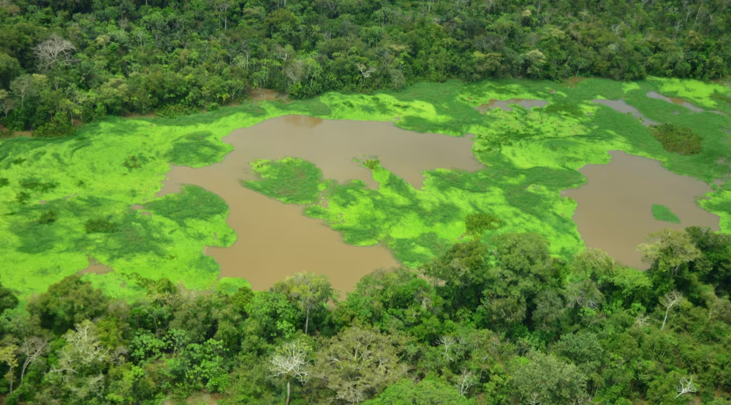 Vue aérienne du lac Tarapoto en Amazonie du Nord 