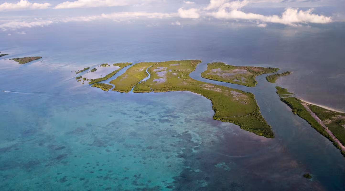 Vue aérienne des mangroves au Belize