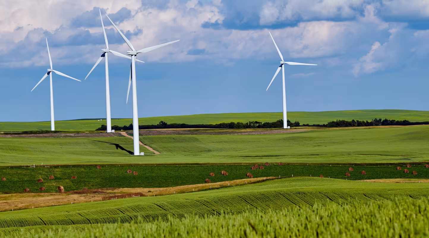 Des éoliennes dans un champ