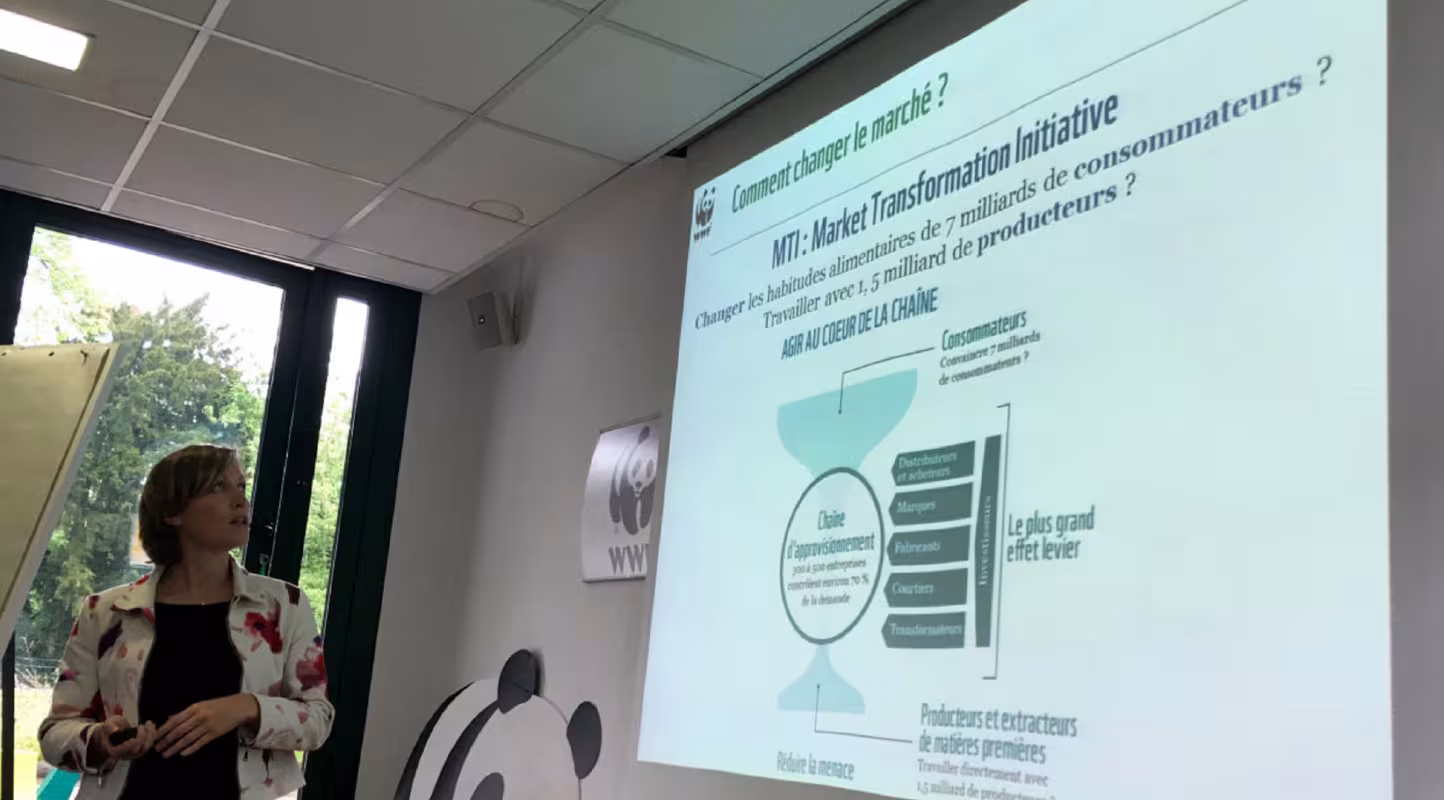 Atelier Marriot au WWF France