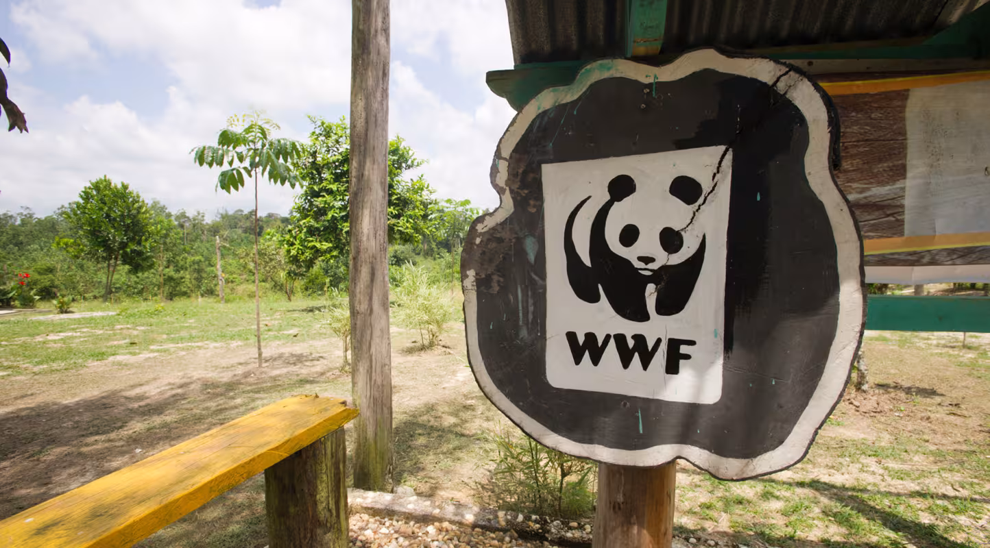 Panneau avec logo WWF, Parc national de Tesso Nilo (Indonésie)