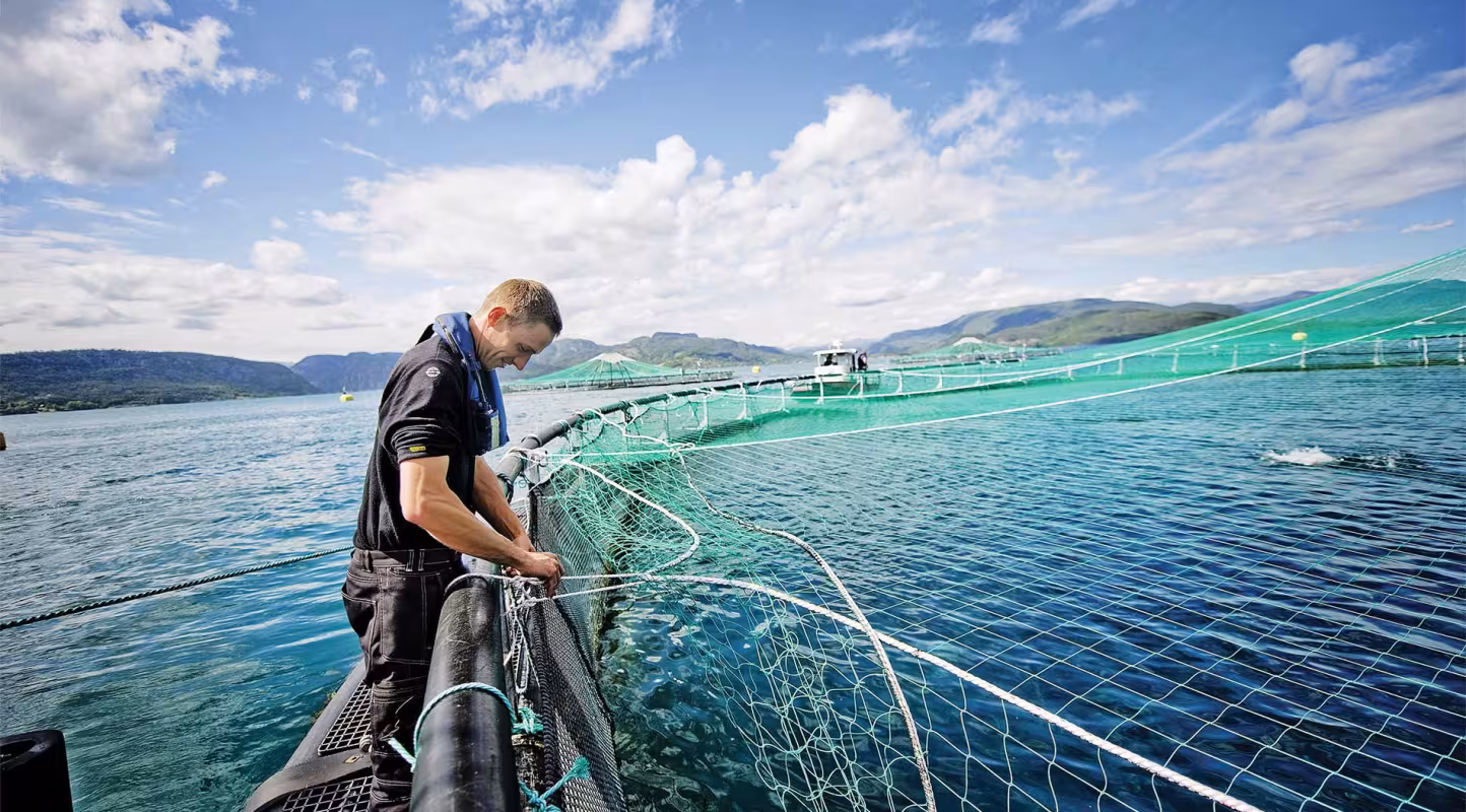 Aquaculture
