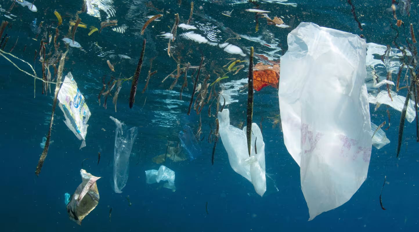 Du plastique dans l'océan