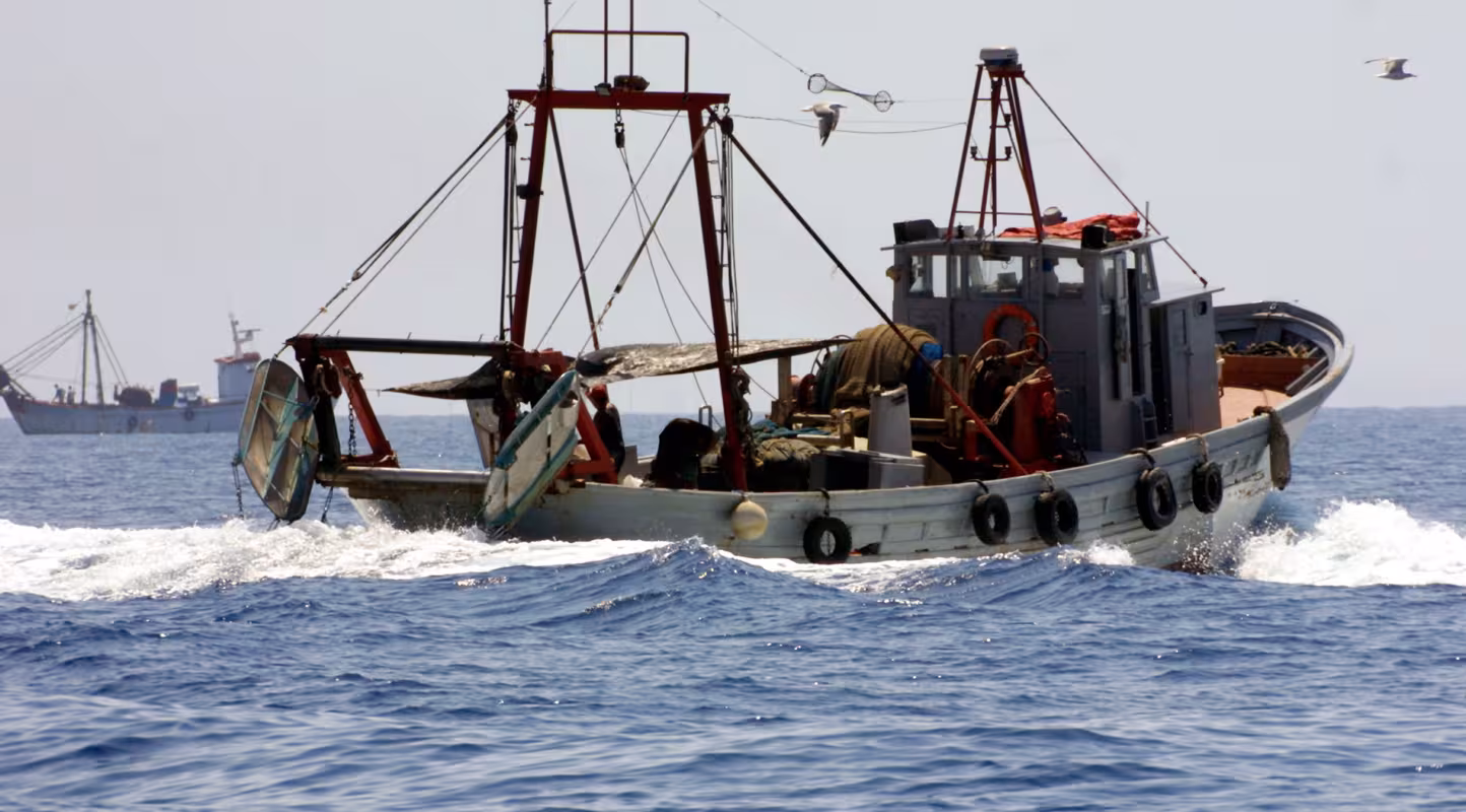 Le WWF et le MSC associés pour la pêche durable en Méditerranée