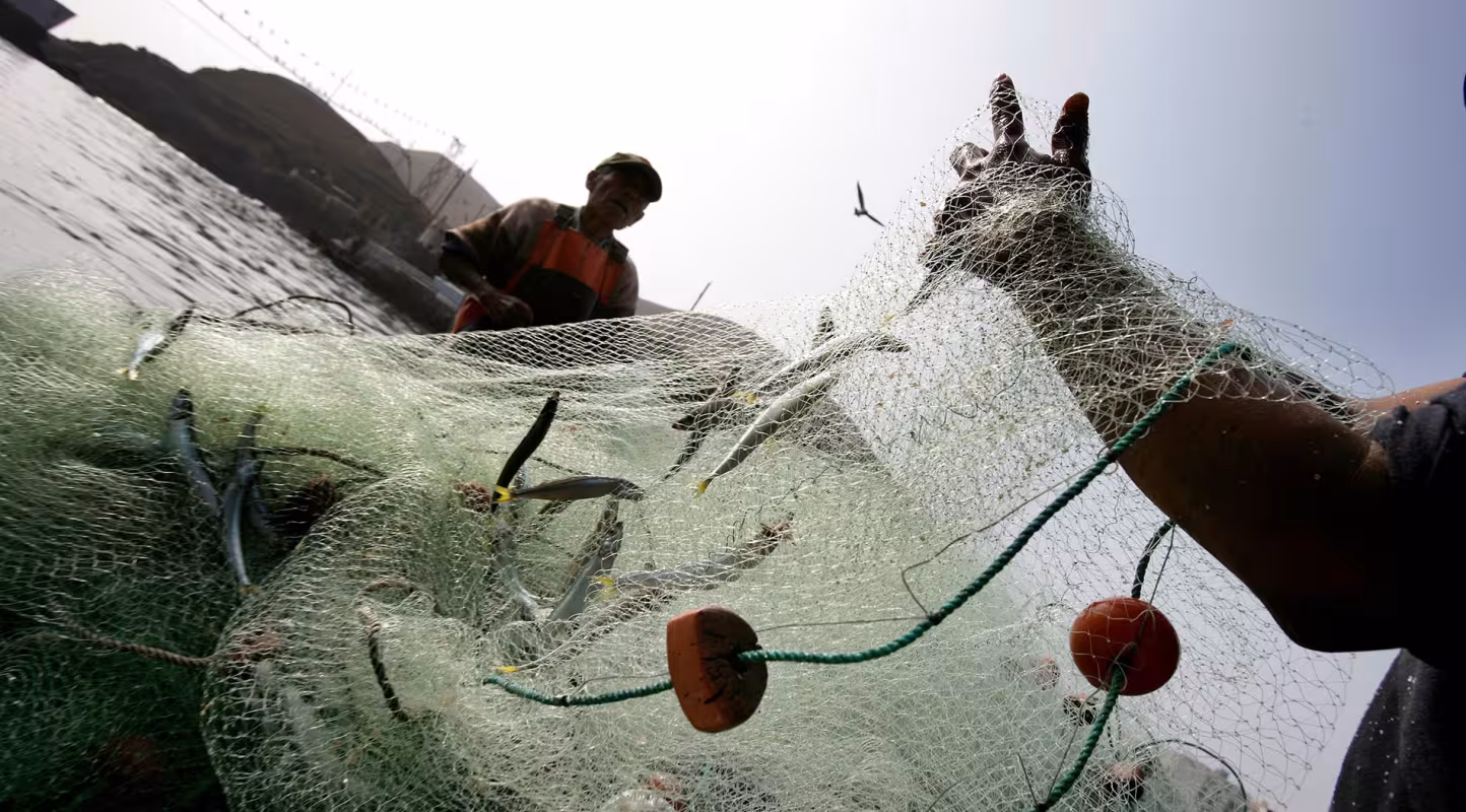 Pêche illégale : les ONG appellent à une meilleure mise en œuvre de la législation européenne