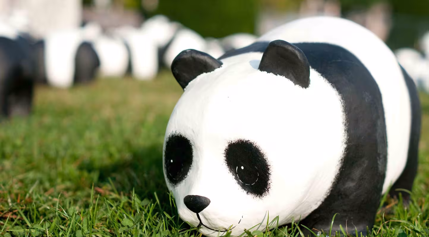 Quand 700 animaux menacés envahissent Beaugrenelle…