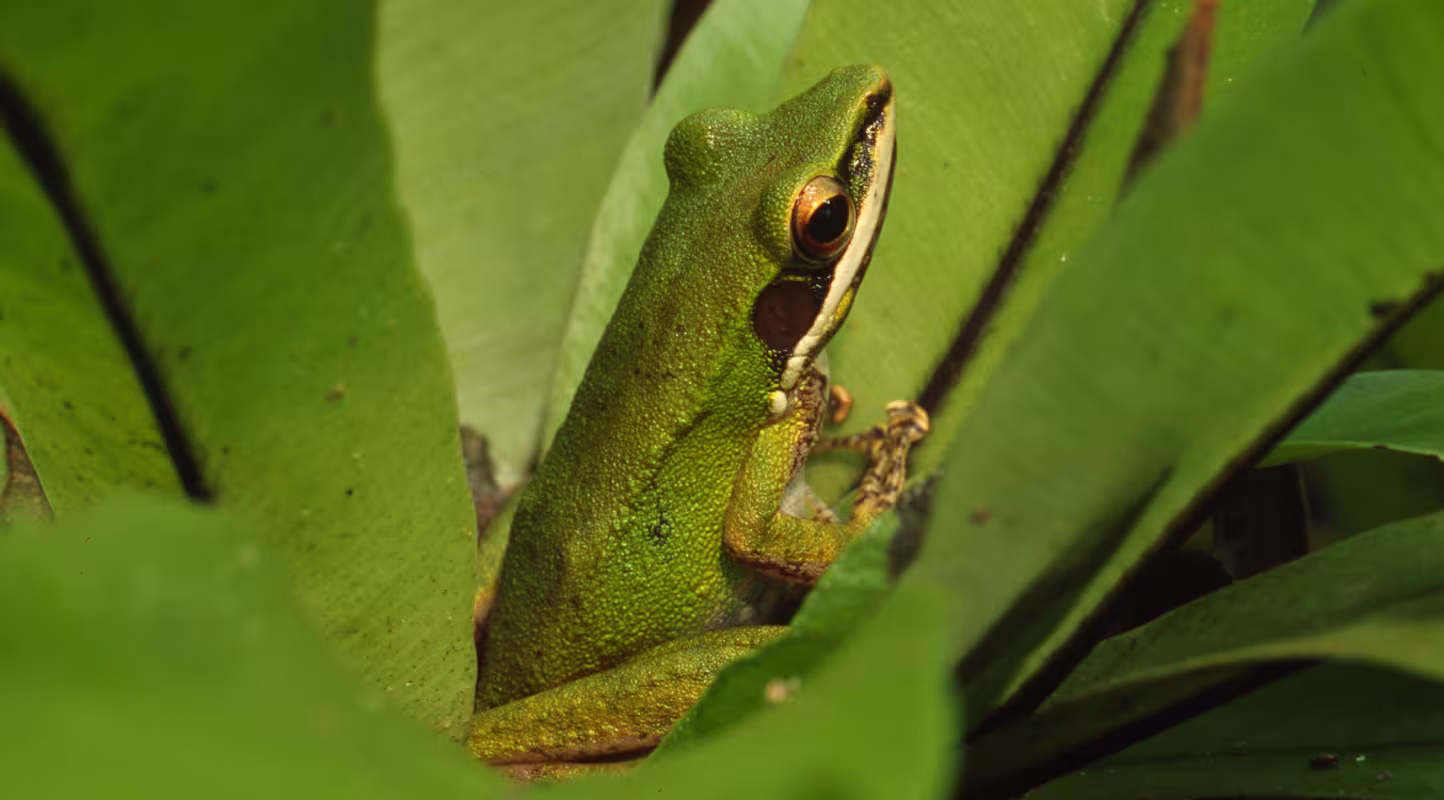 Faites entendre la voix de la nature