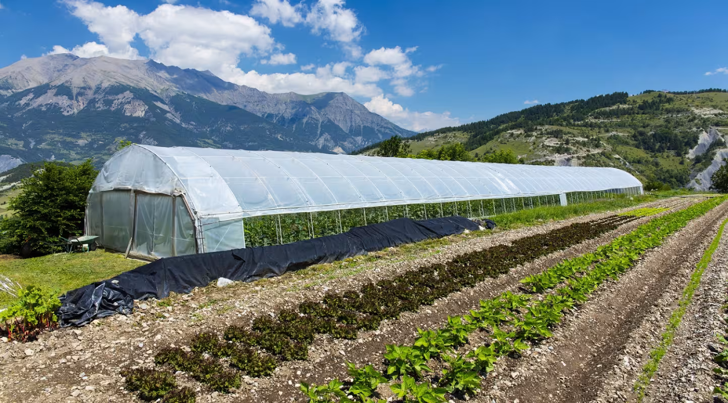 États Généraux de l'Alimentation : aides à l'agriculture biologique, le gouvernement à l'heure des choix