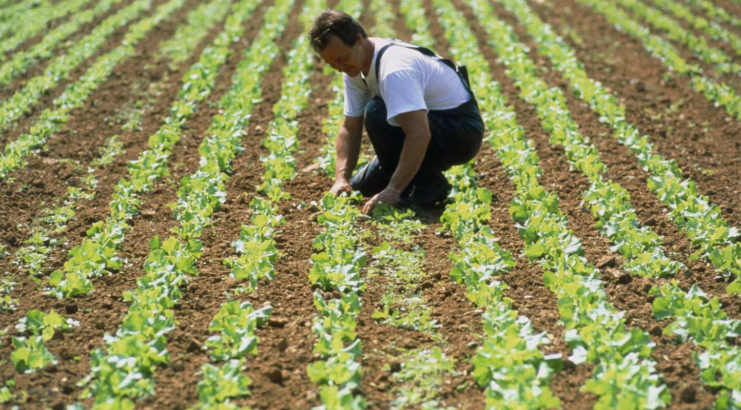 Loi d’Orientation Agricole : Le WWF France déplore une opposition stérile entre écologie et agriculture. 