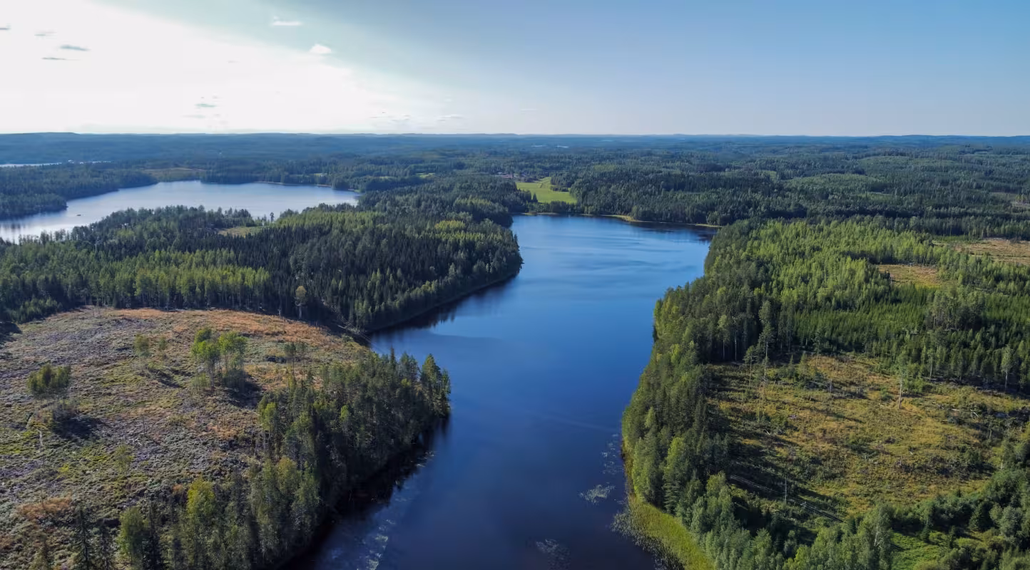 Un nouveau rapport du WWF appelle à adopter d’urgence des plans  de transition nature