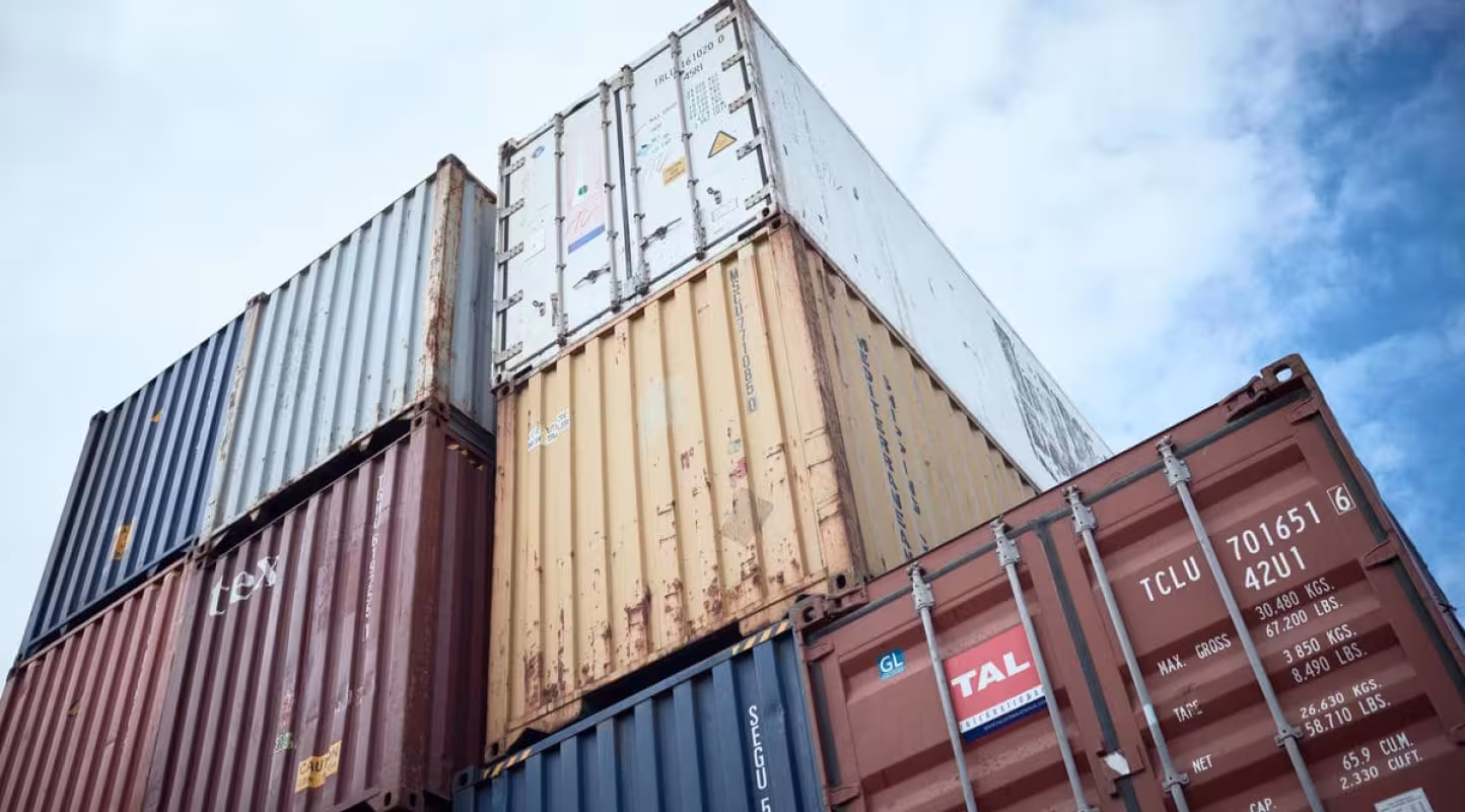 L’Organisation Maritime Internationale renforce la lutte contre le trafic d'espèces sauvages