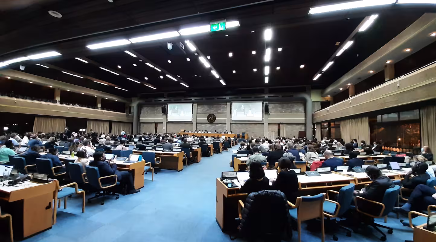 COP15 : il faut sauver l’accord mondial sur la biodiversité