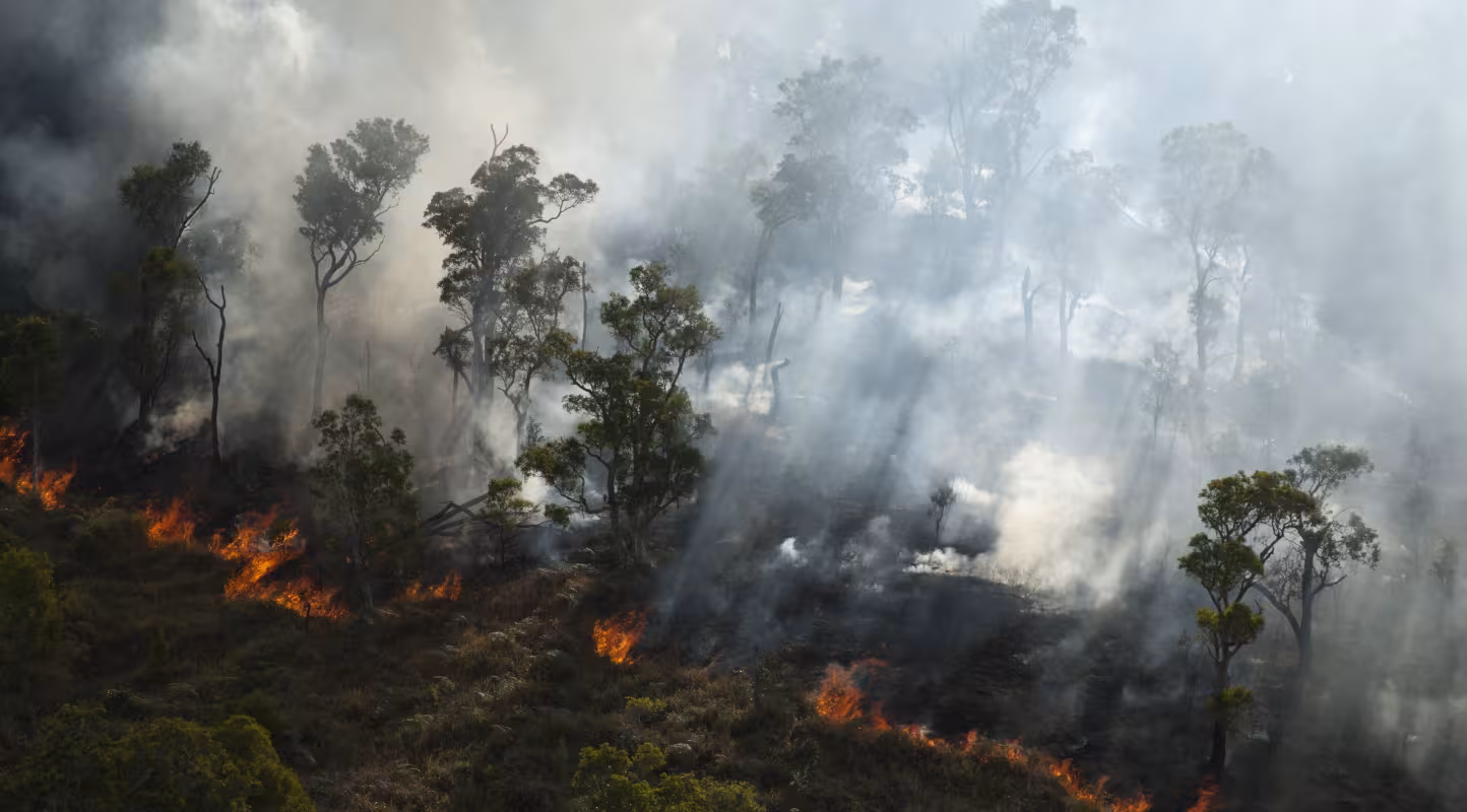 Lutter contre les incendies en Nouvelle-Calédonie