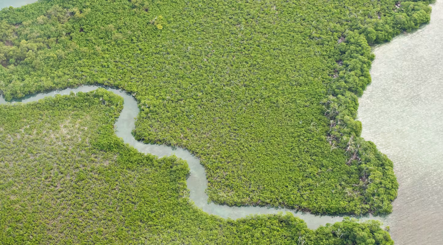 Le récif corallien du Belize, site classé au Patrimoine mondial, est toujours menacé