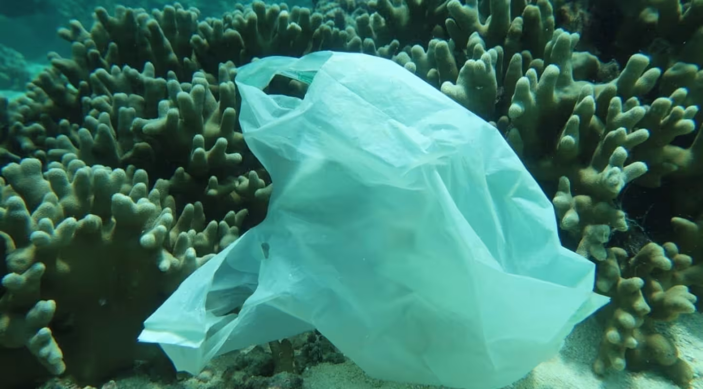 La pollution plastique des océans va quadrupler d'ici à 2050