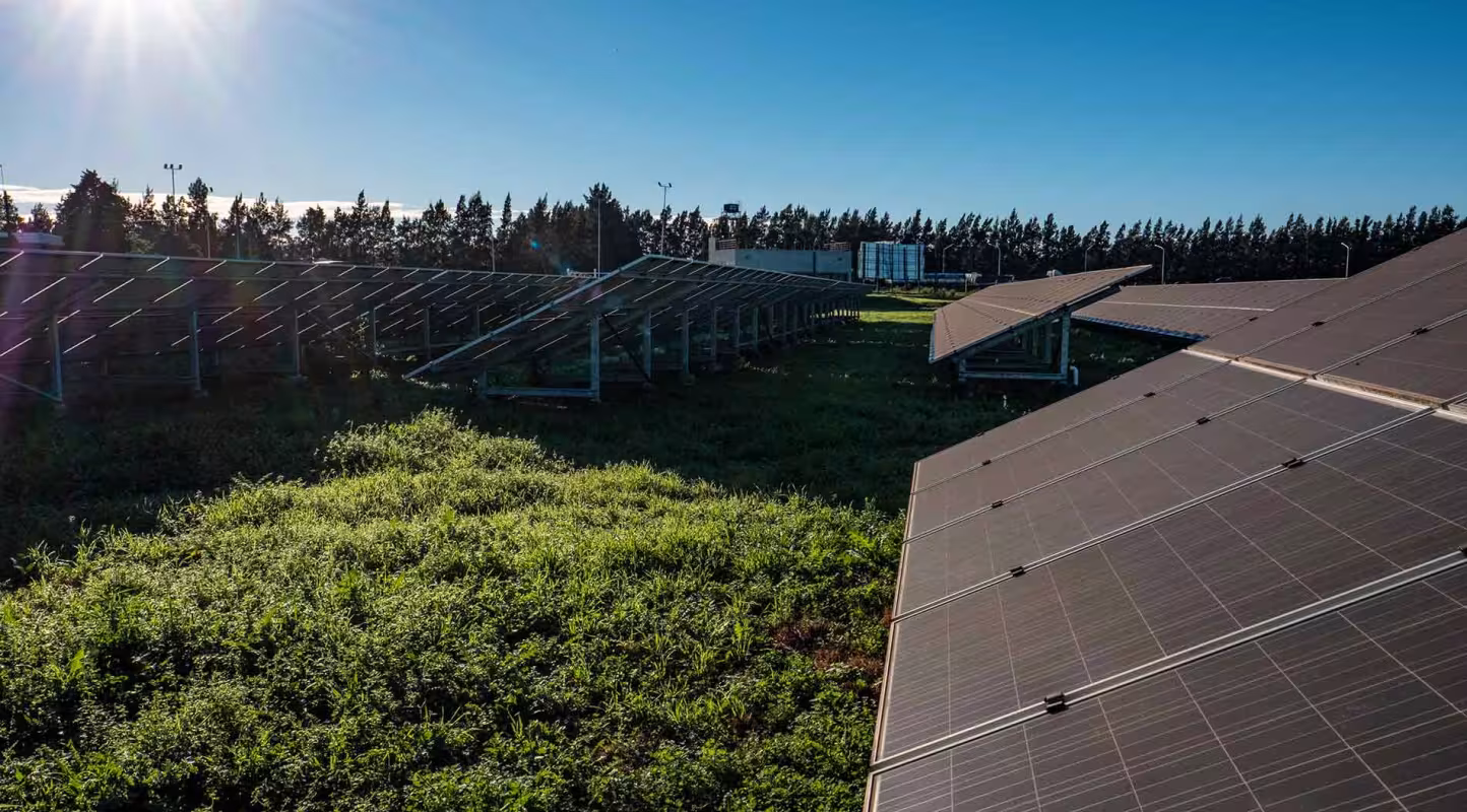 Loi énergies renouvelables : le WWF appelle les maires à accélérer sur-le-champ