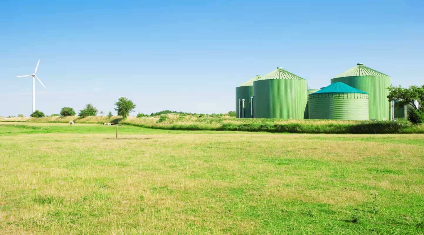 Le WWF publie une étude prospective sur l’utilisation de la biomasse pour l’énergie en France d’ici 2050