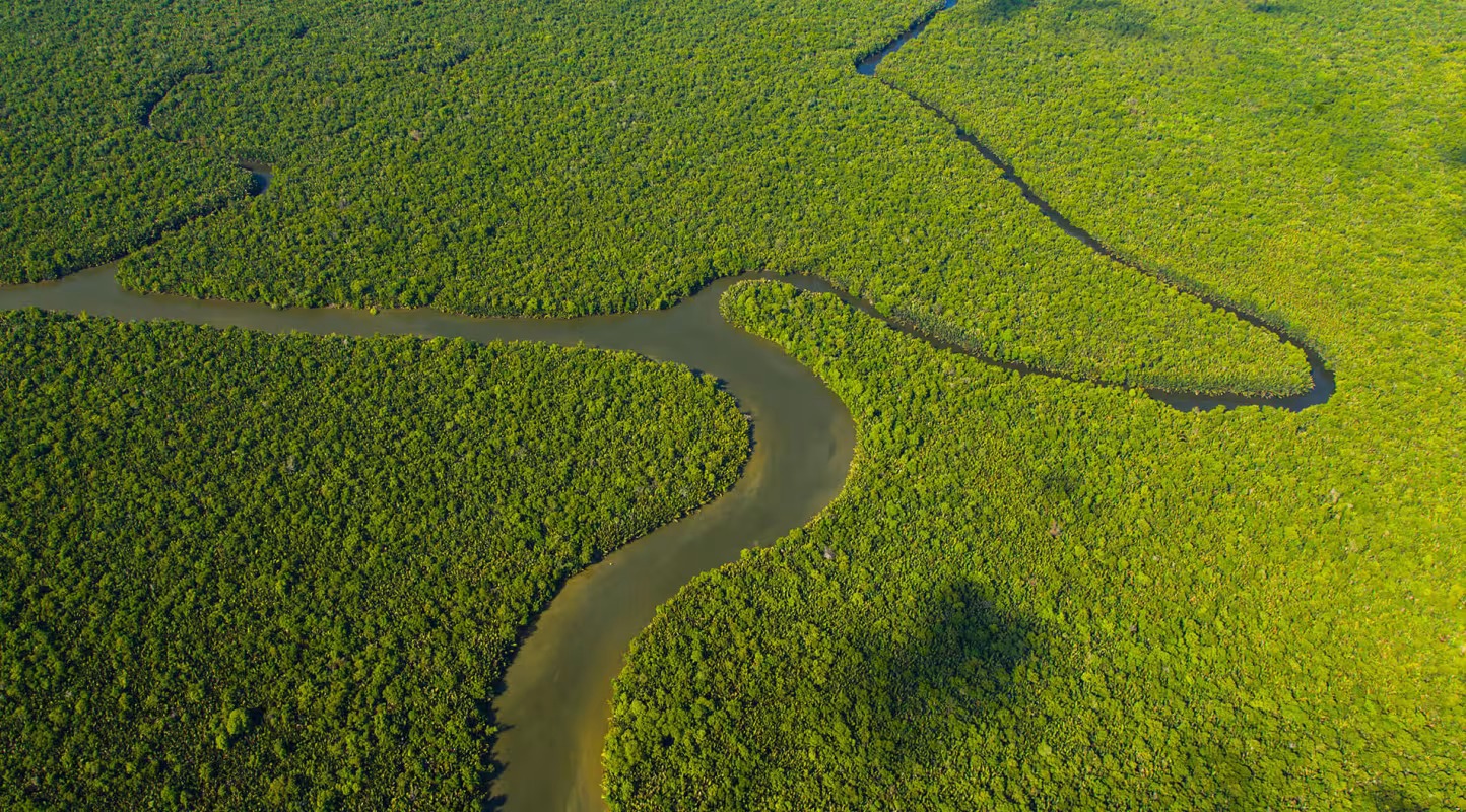Un langage commun pour orienter la finance vers des investissements positifs en nature