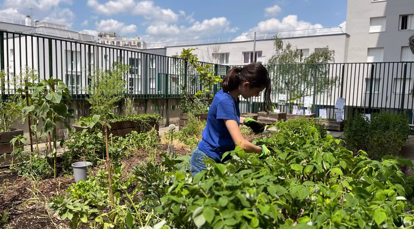 Ecole-jardiniere une fille prépare le potager