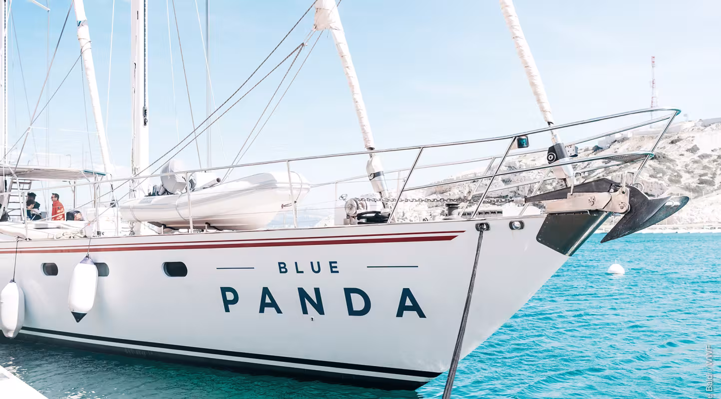 Le bateau du WWF, le Blue Panda, à quai