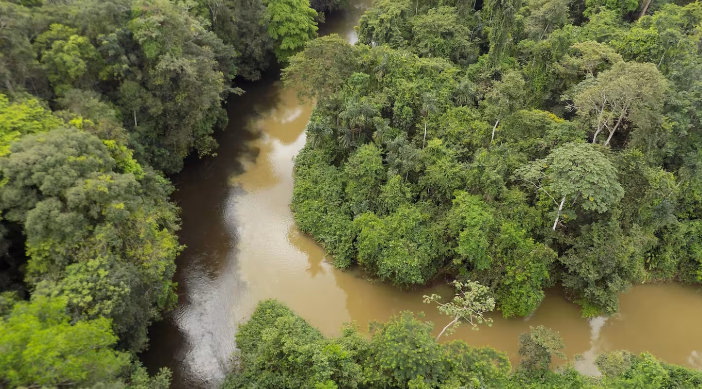 Vue aérienne d'une rivière en Guyane (Amazonie), habitat de la loutre géante